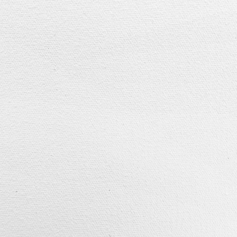 ALESANDRO CANVAS Polyester Polyester 4 Coats 10m Roll